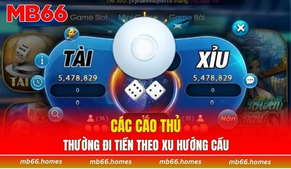 Các cao thủ thường đi tiền theo xu hướng cầu 