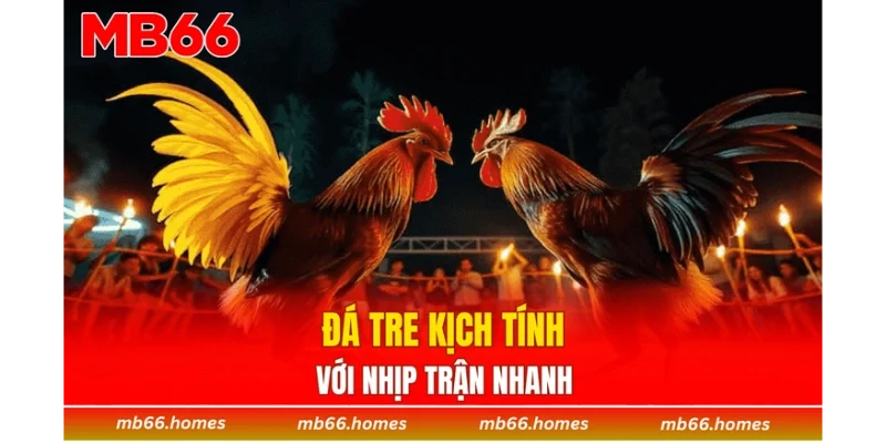 Đá tre kịch tính với nhịp trận nhanh