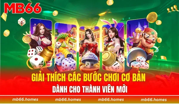Giải thích các bước chơi cơ bản dành cho thành viên mới