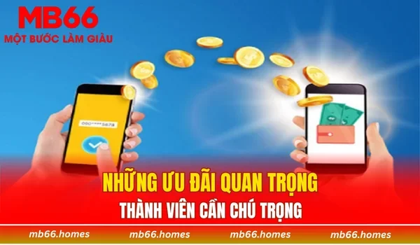 Những ưu đãi quan trọng thành viên cần chú trọng