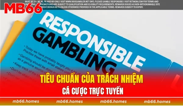 Tiêu chuẩn của trách nhiệm cá cược trực tuyến