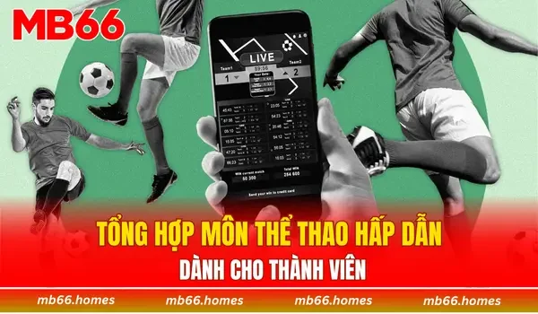 Tổng hợp môn thể thao hấp dẫn dành cho thành viên