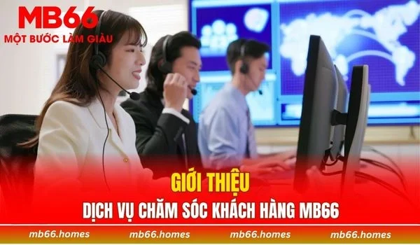 Vài nét sơ lược về dịch vụ hỗ trợ khách hàng